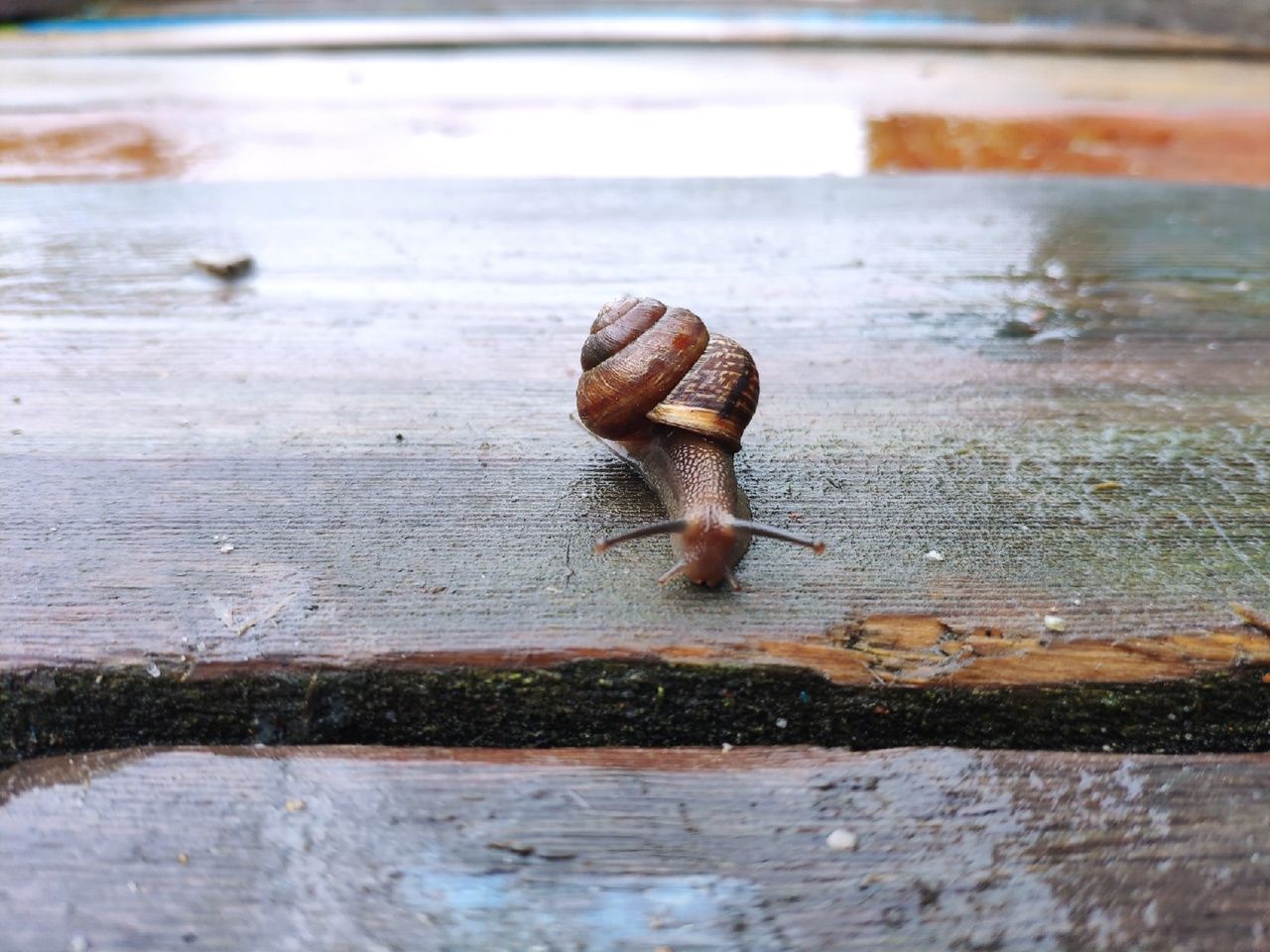 Днем до +24. Прогноз погоды на 14 июня Днем до +24. Прогноз погоды на 14 июня