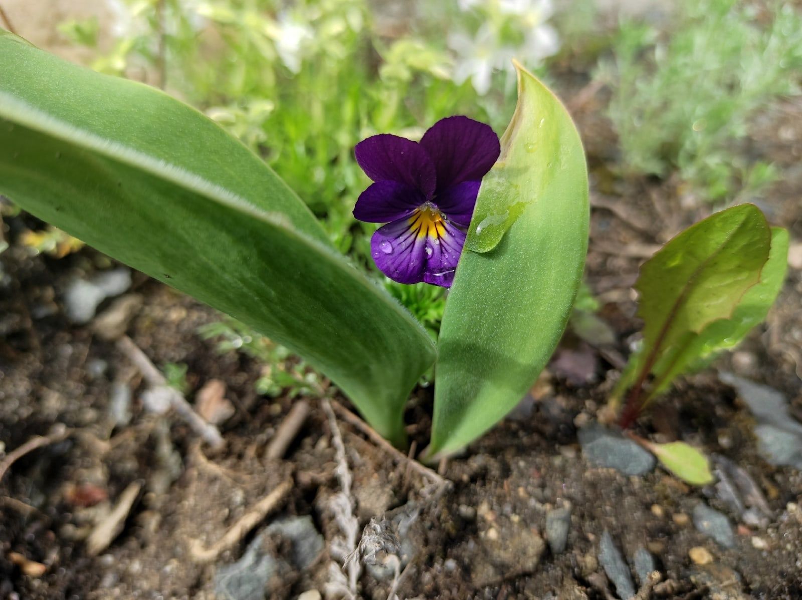 В большинстве районов дожди: прогноз погоды на 16 июня