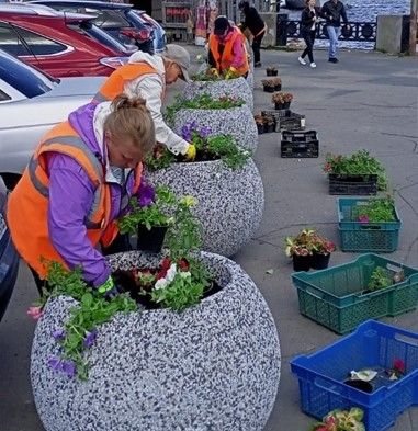 Петрозаводск украсят более 230 тысяч цветов