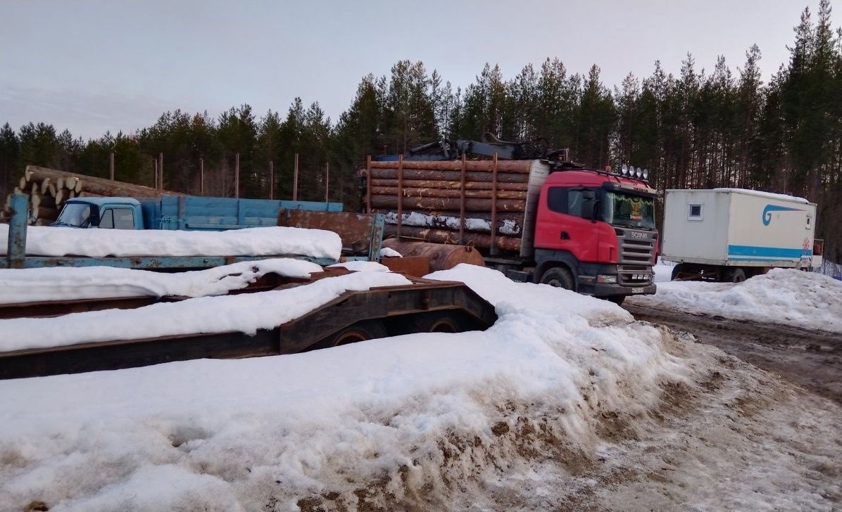 В Медвежьегорском районе рабочий лесозаготавливающего предприятия погиб после падения бревна