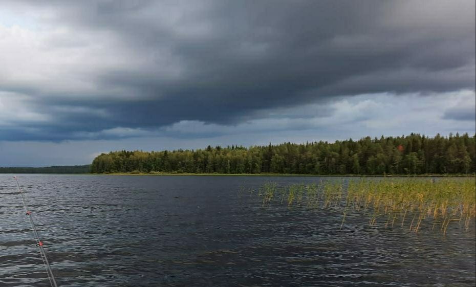 Снова пасмурно и не жарко: прогноз погоды на 18 июня Снова пасмурно и не жарко: прогноз погоды на 18 июня