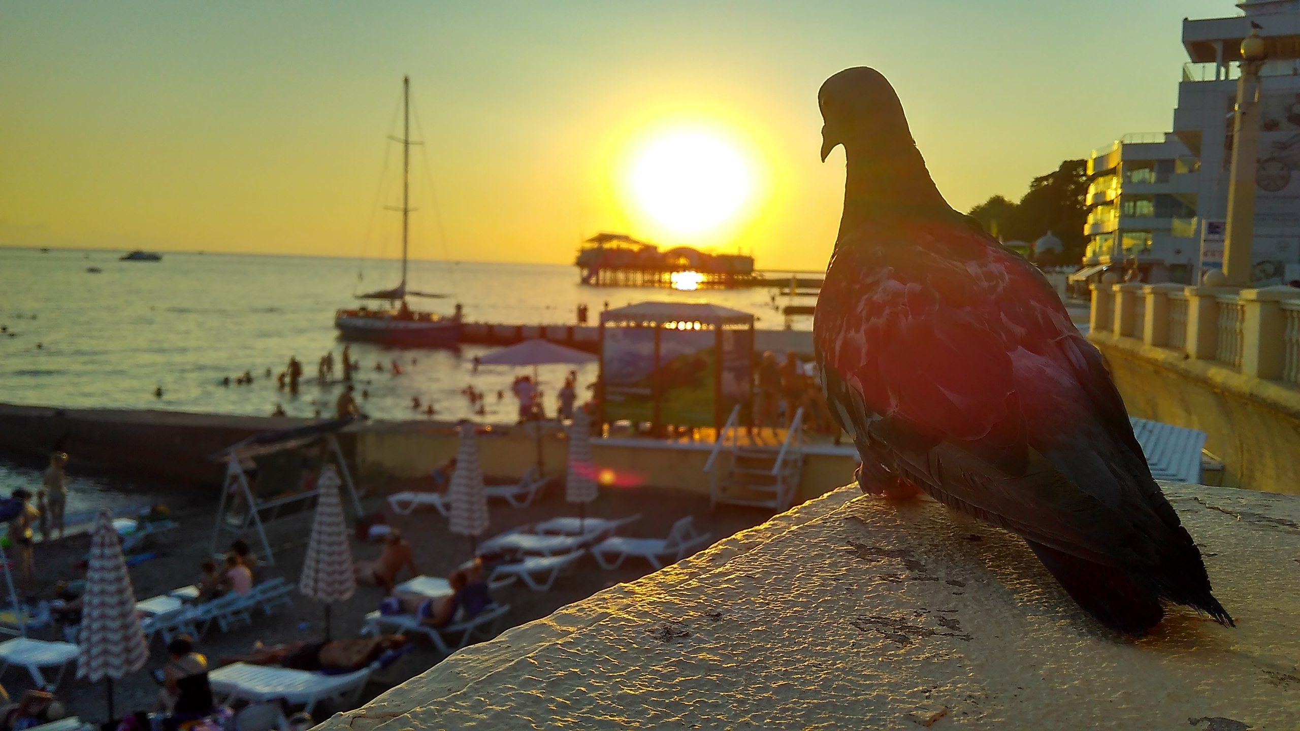 Жительница Костомукши лишилась денег при бронировании жилья на юге