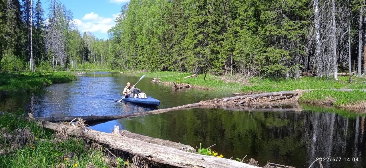 Профессиональные туристы просят очистить Лососинку от упавших деревьев
