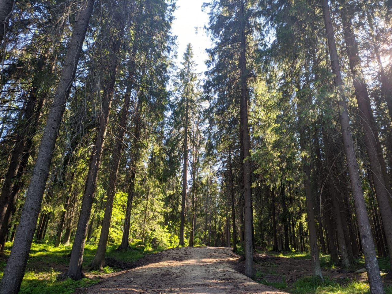 Тропы здоровья обустроят в Петрозаводске
