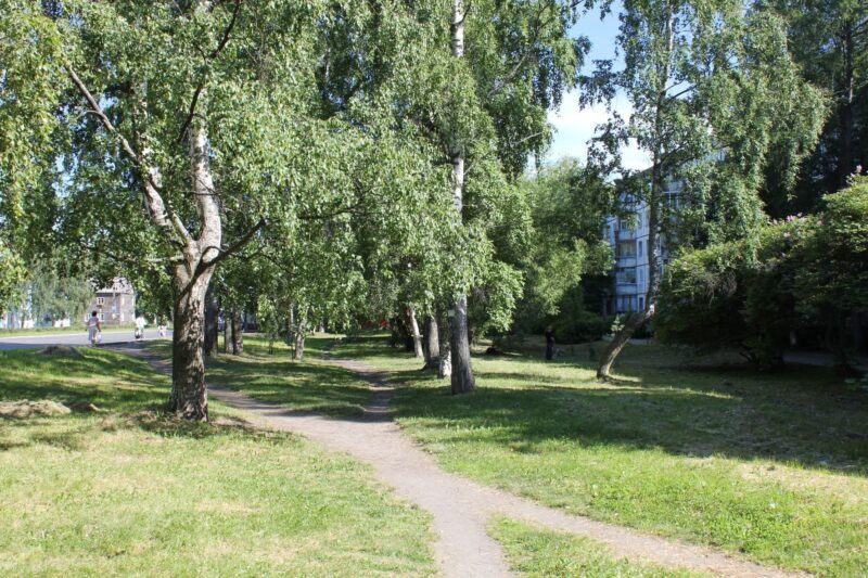 Сквер Анны Лисицыной в Петрозаводске благоустраивают
