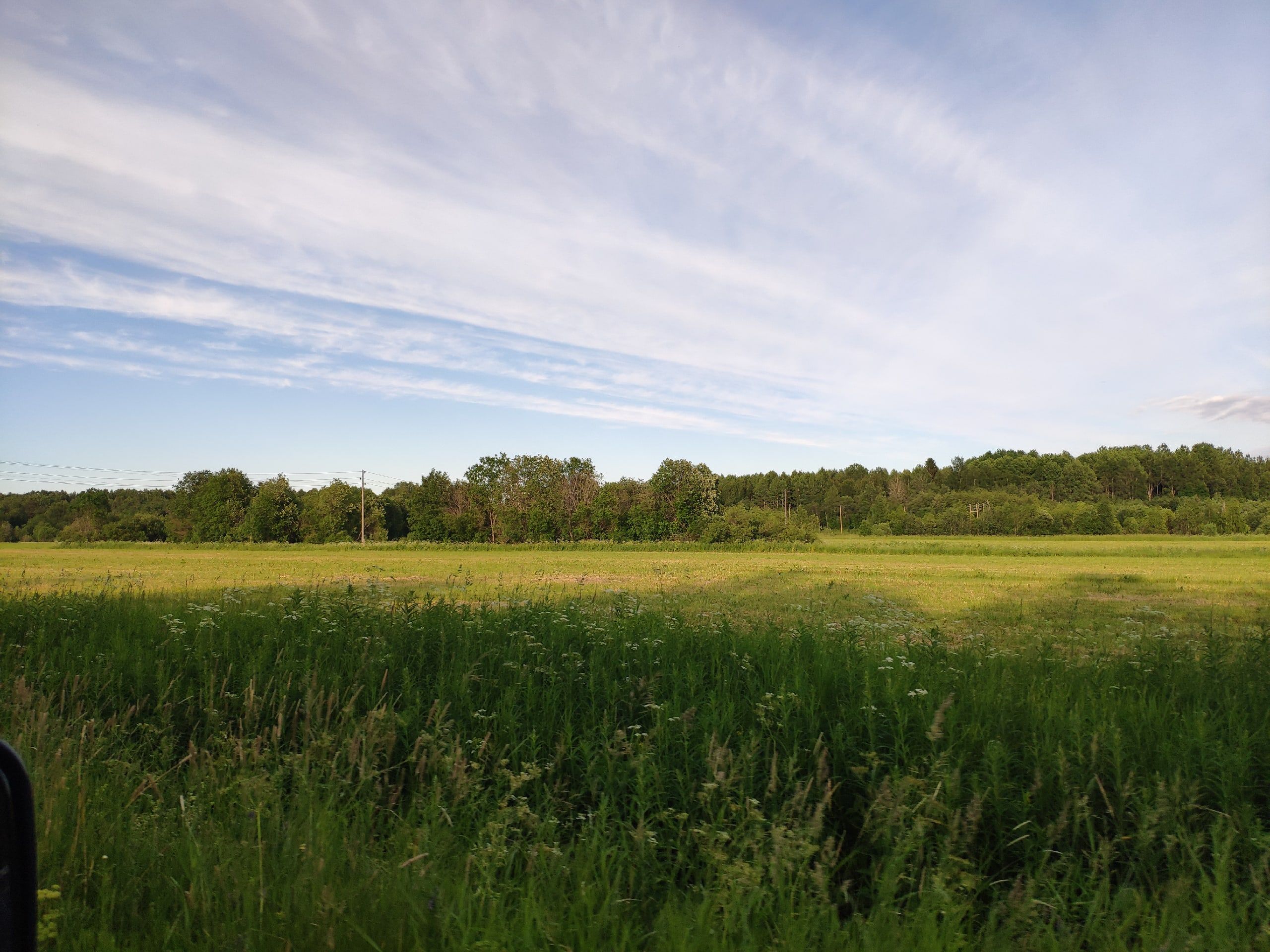 Более двух тысяч человек подали заявку на «Арктический гектар» в Карелии