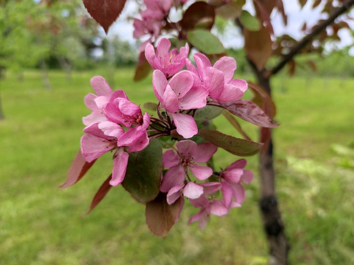 Тепло и преимущественно без осадков: прогноз погоды на 23 июня