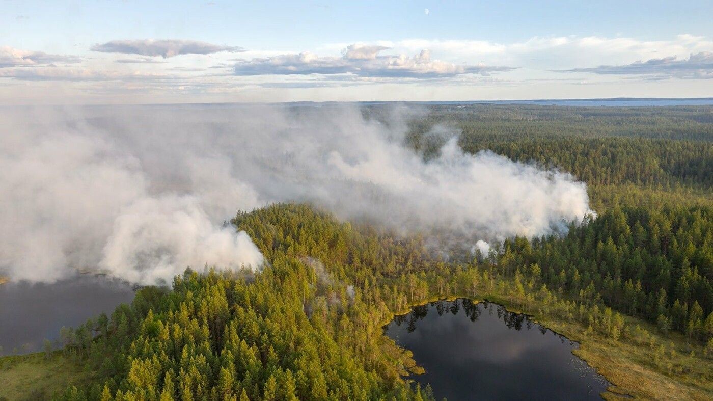 17 лесных пожаров потушили в Карелии на этой неделе