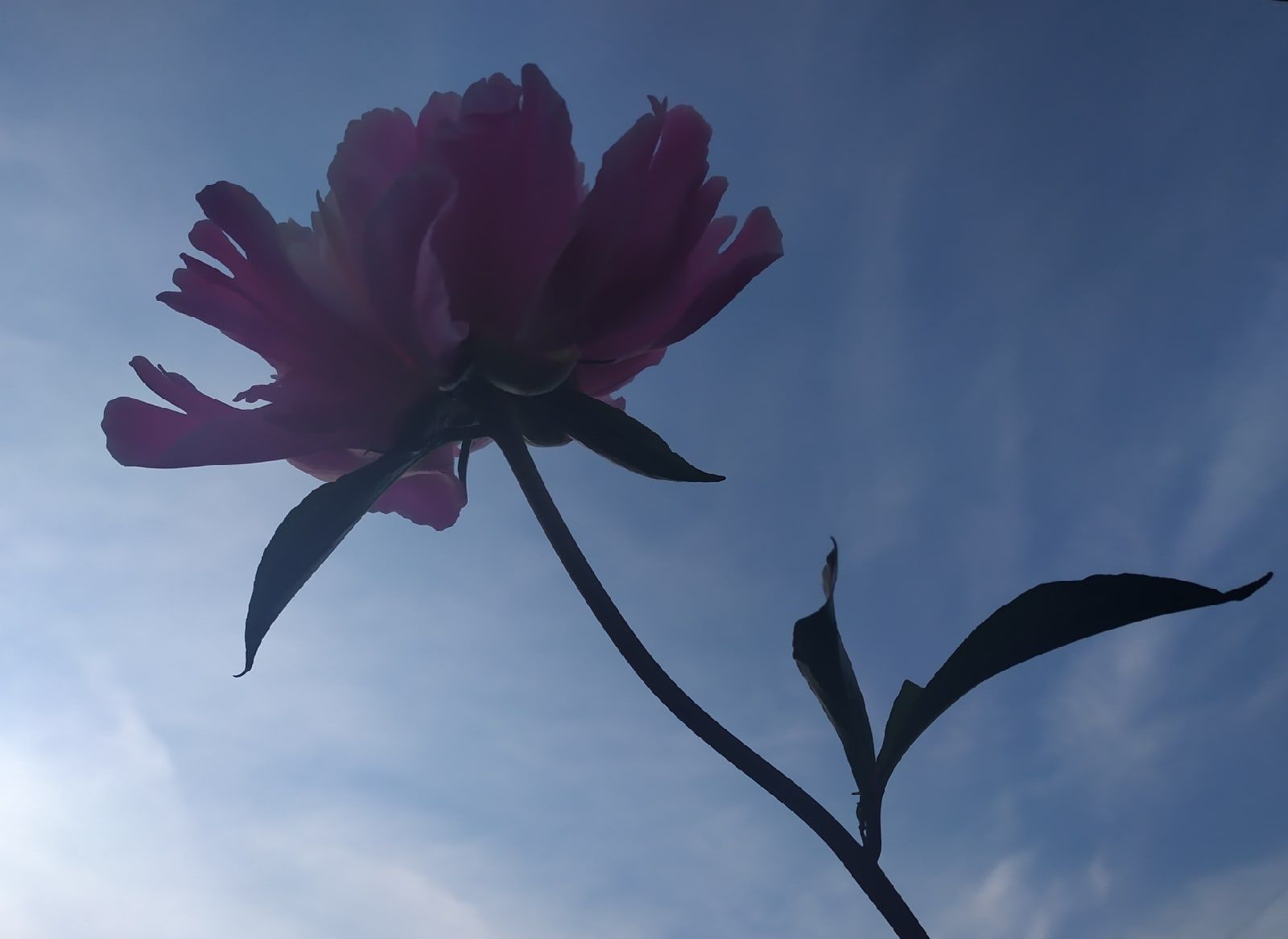 Тепло не уйдет. Синоптики рассказали о погоде на июль