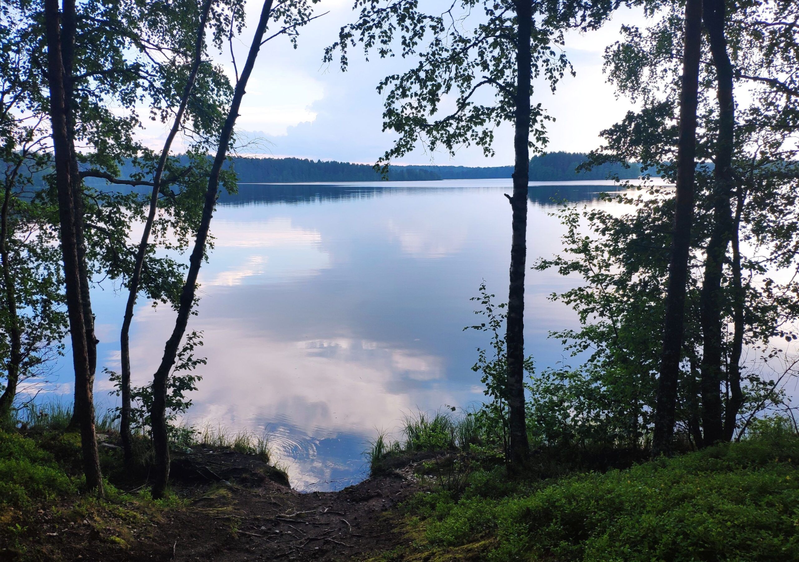 Плавники воспоминаний. Колонка главного редактора об утраченных местах Карелии