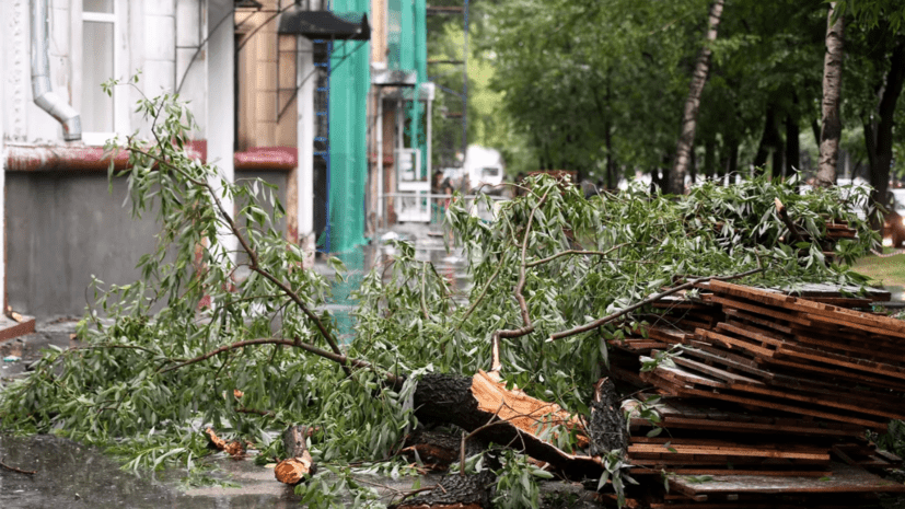 Мужчина погиб во время урагана в Москве
