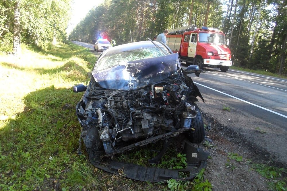 Женщина-водитель врезалась в «КамАЗ» на трассе в Карелии