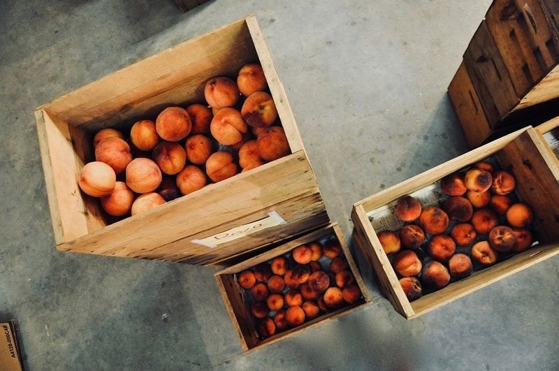 В Петрозаводск завезли персики и абрикосы, зараженные опасным вредителем