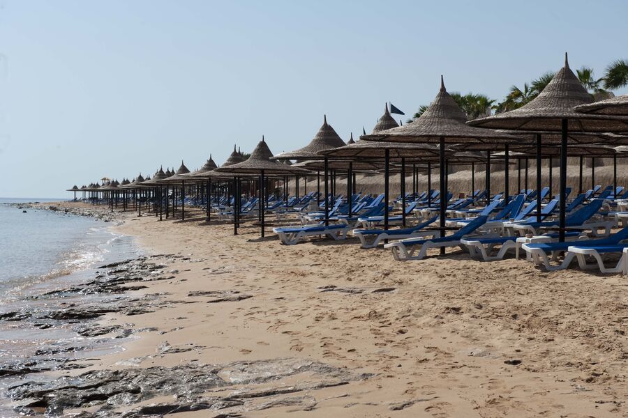 В Хургаде акулы убили сразу двух туристок