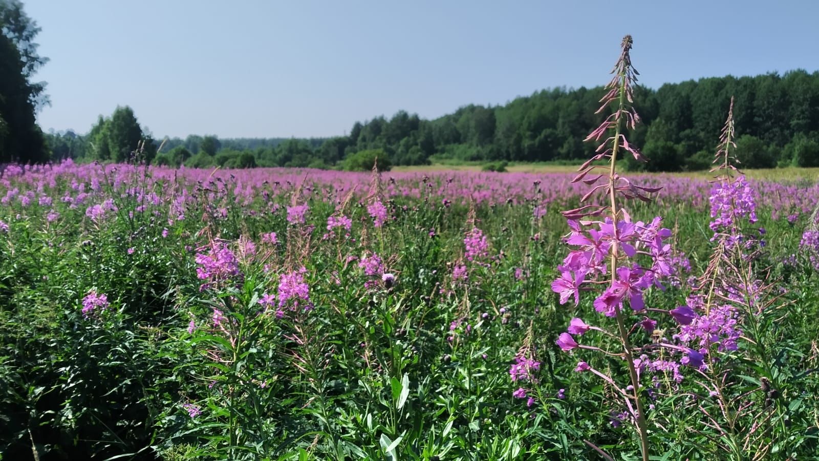 Карельские синоптики опубликовали новые климатические нормы
