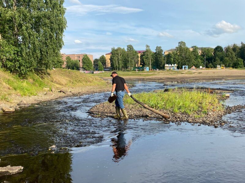 В Зарецком парке в Петрозаводске прошёл субботник