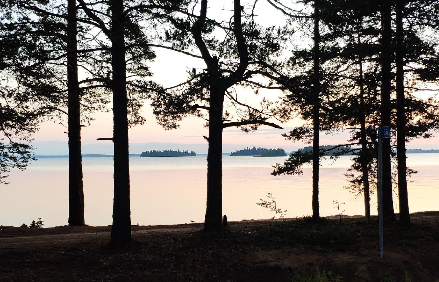 В пяти районах Карелии гражданам запретили посещать леса