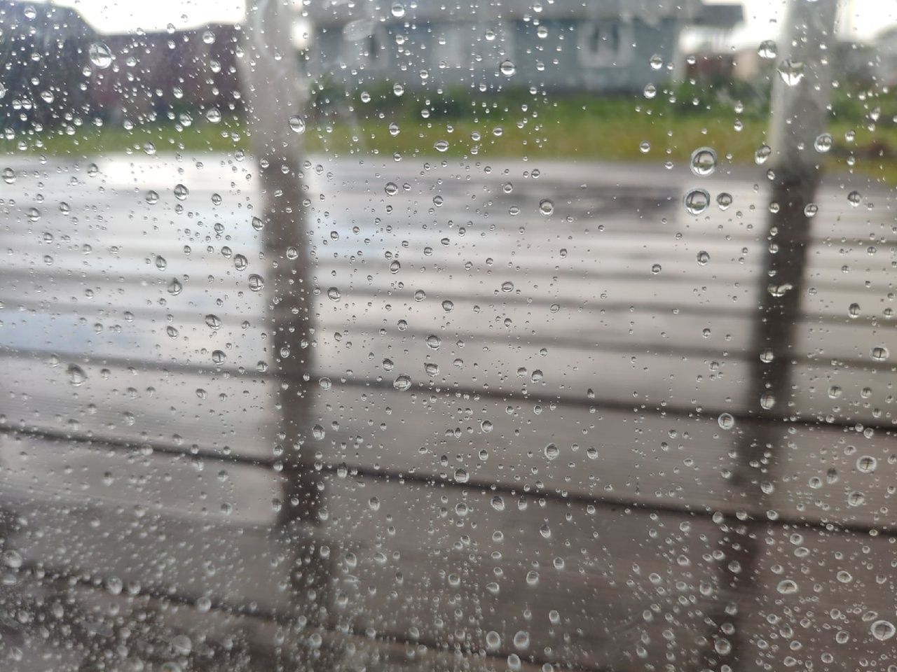 Дожди и порывистый ветер: прогноз погоды на 27 июля