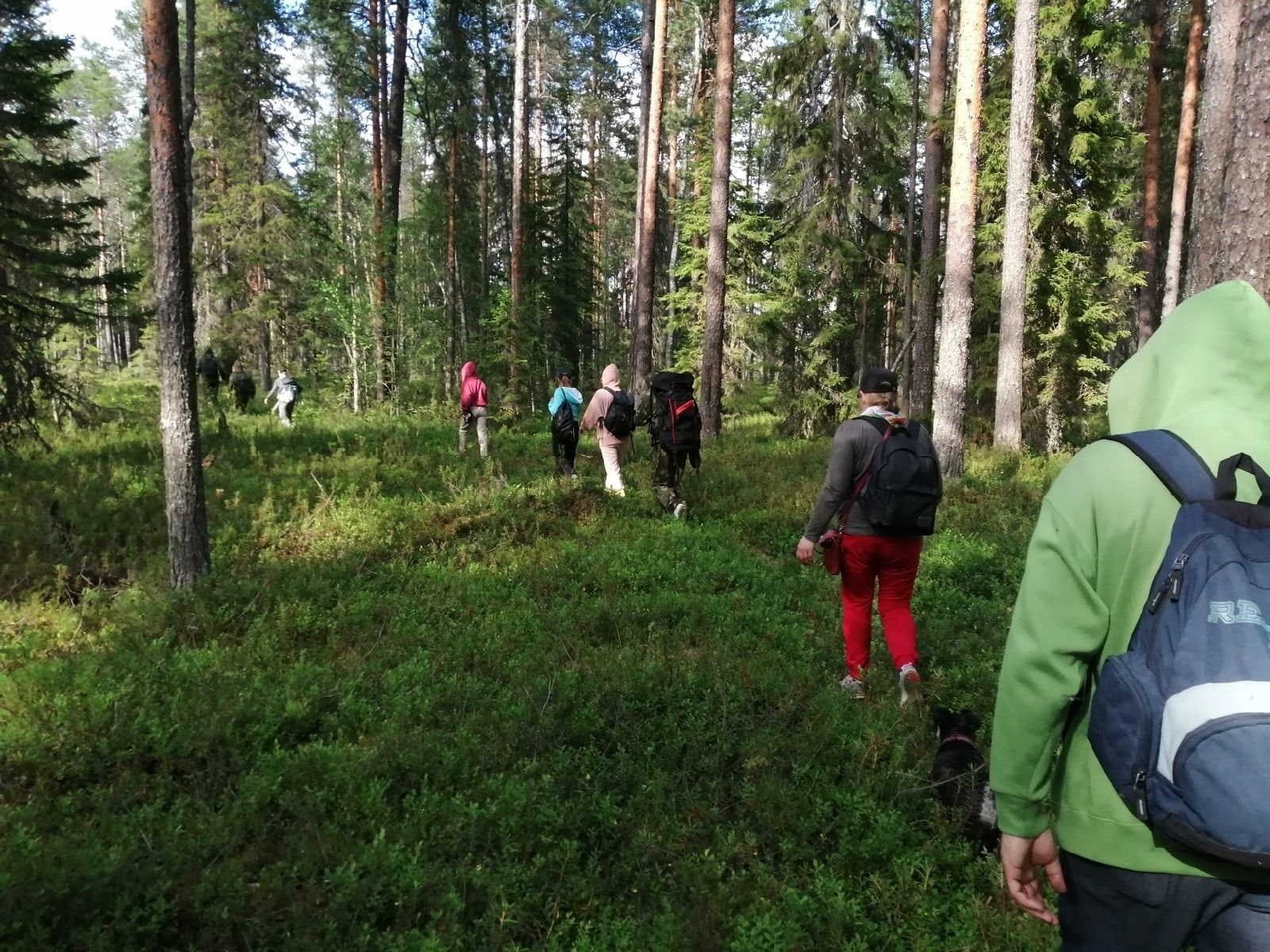 «Монастырской тропой» прошли туристы в Водлозерском парке «Монастырской тропой» прошли туристы в Водлозерском парке