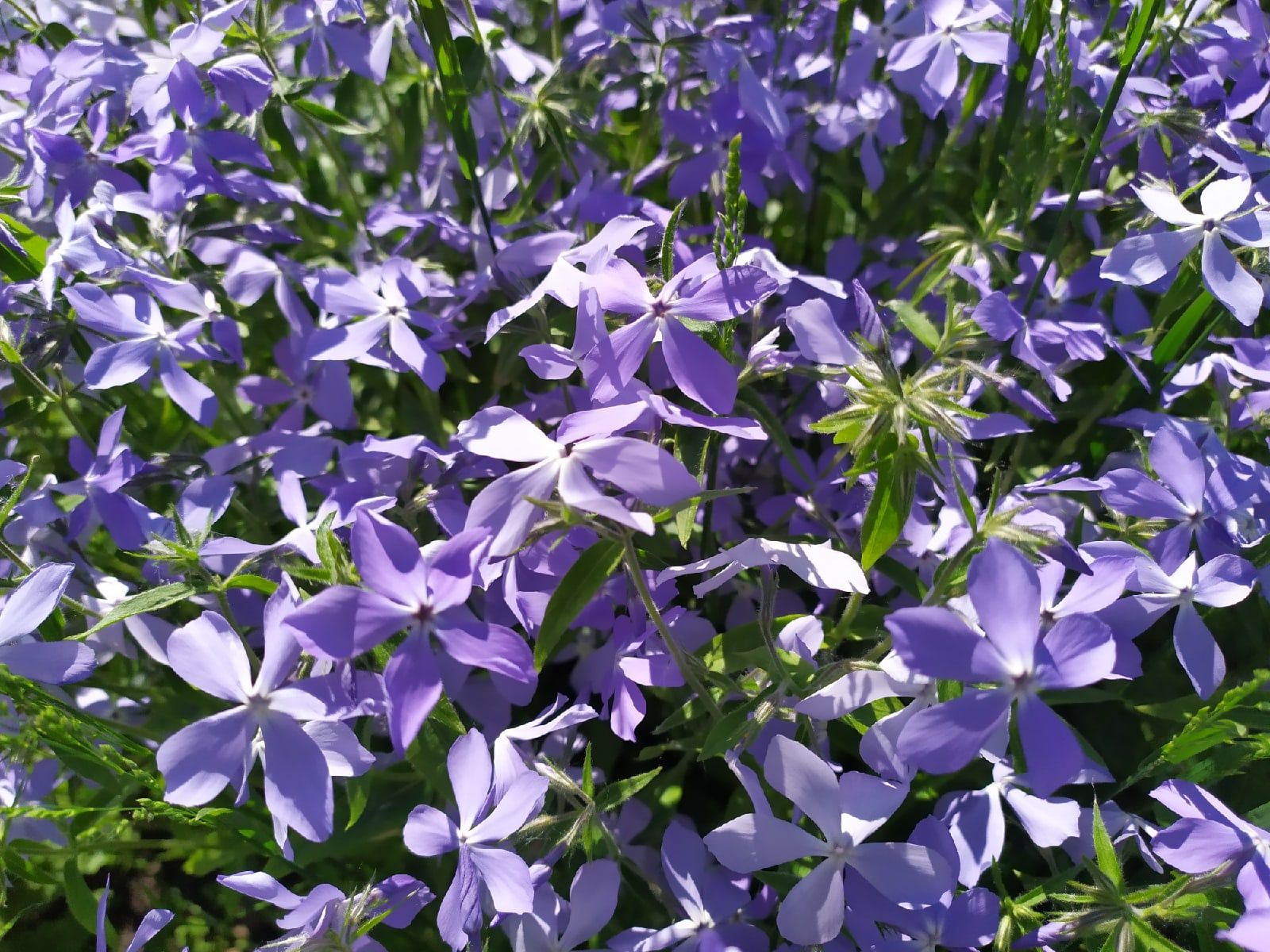 Жара возвращается, но не одна. Прогноз погоды на 11 июля