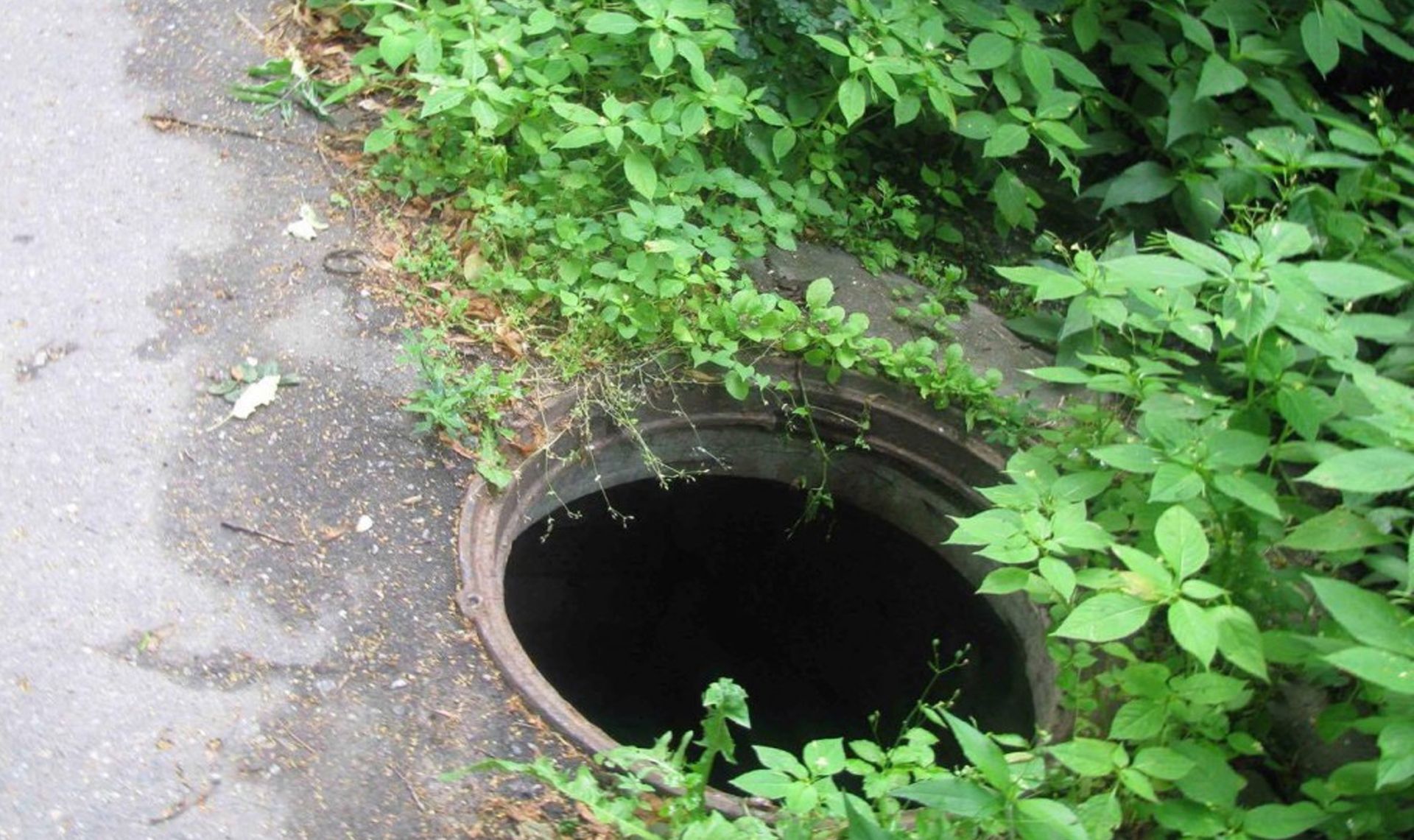 Независимую экспертизу воздуха проведут на Ключевой