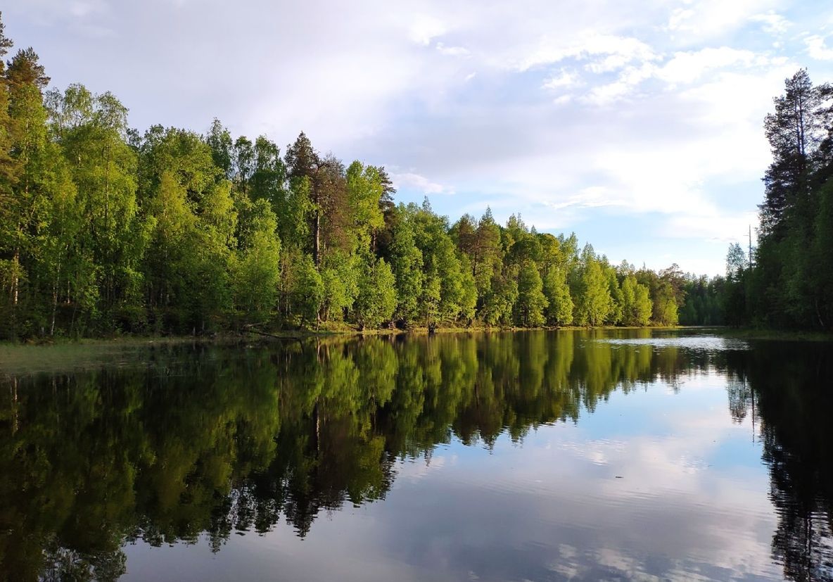 В Карелии нашли живым рыбака, который потерялся неделю назад