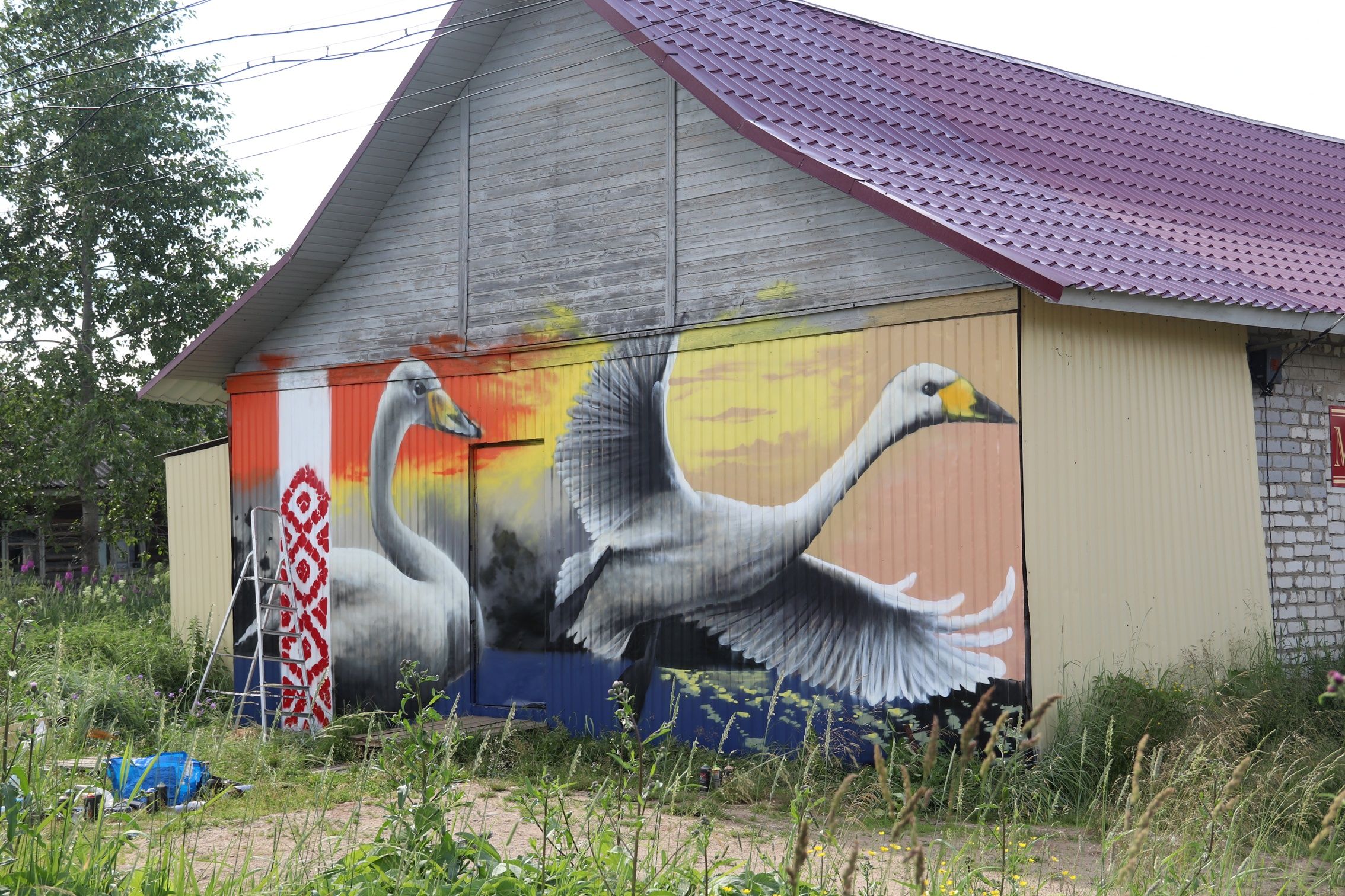 Экоактивисты подарили Нюхче лебедей