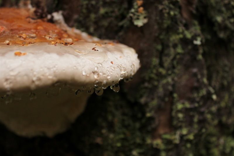 Дождливо и прохладно: прогноз погоды на 30 июля