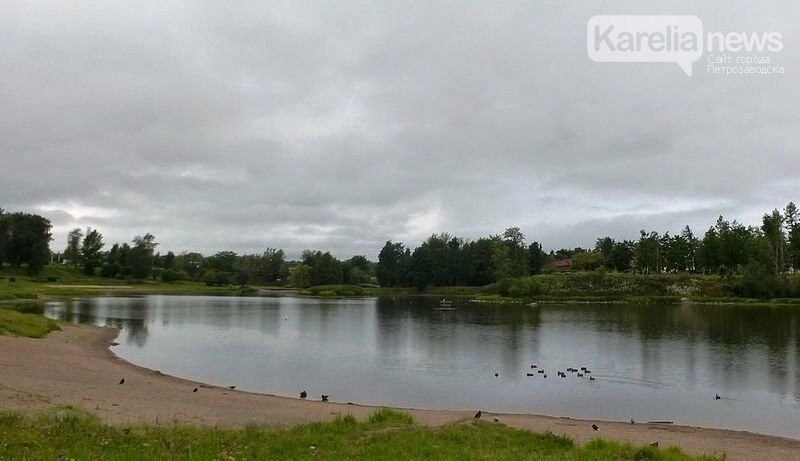 Петрозаводчан приглашают расчистить устье Лососинки