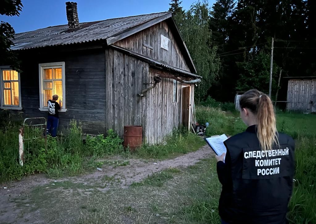 Житель Олонецкого района насмерть забил женщину молотком
