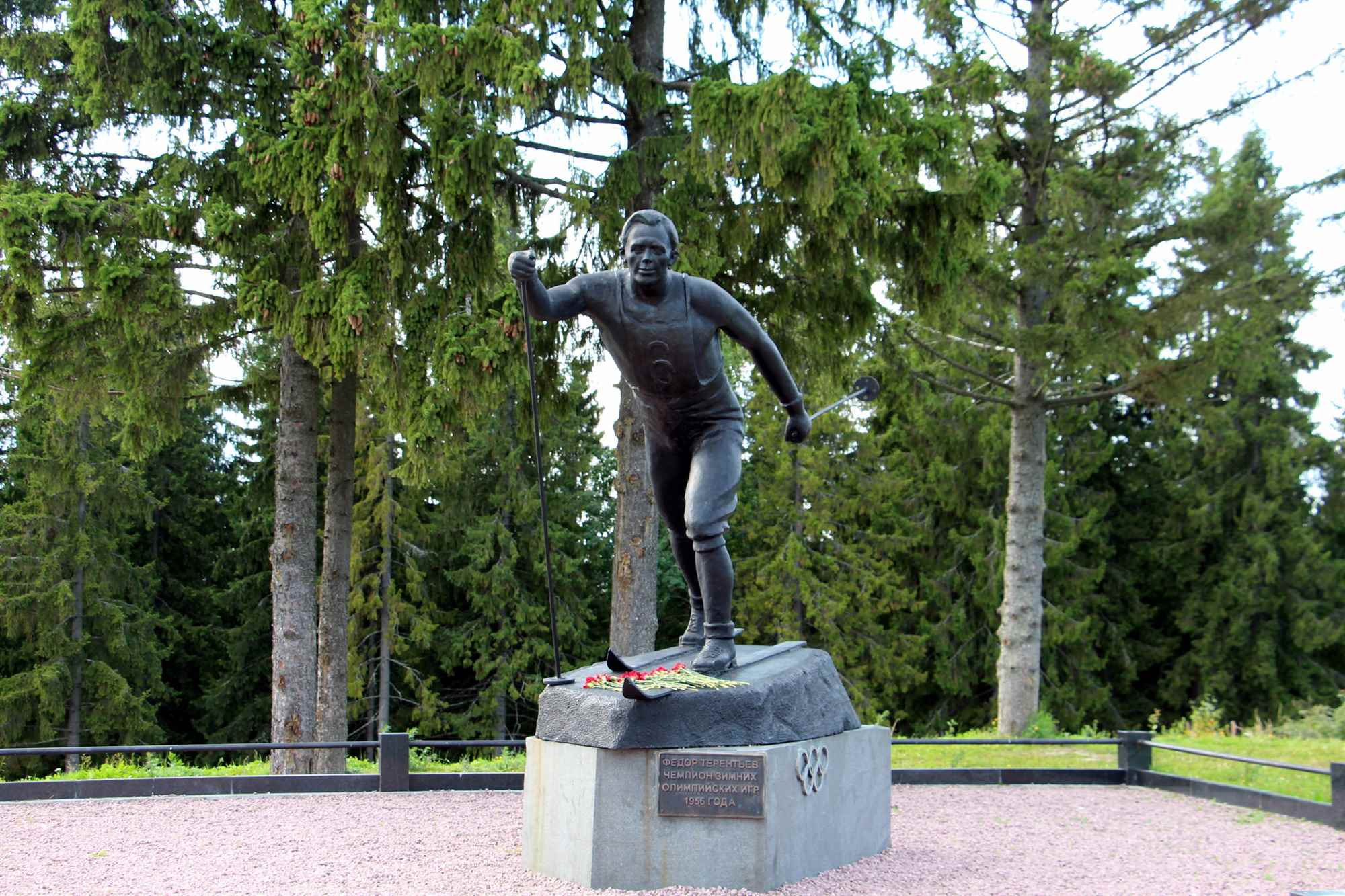 Интенсивная вырубка может стать причиной ветровалов на Кургане Интенсивная вырубка может стать причиной ветровалов на Кургане