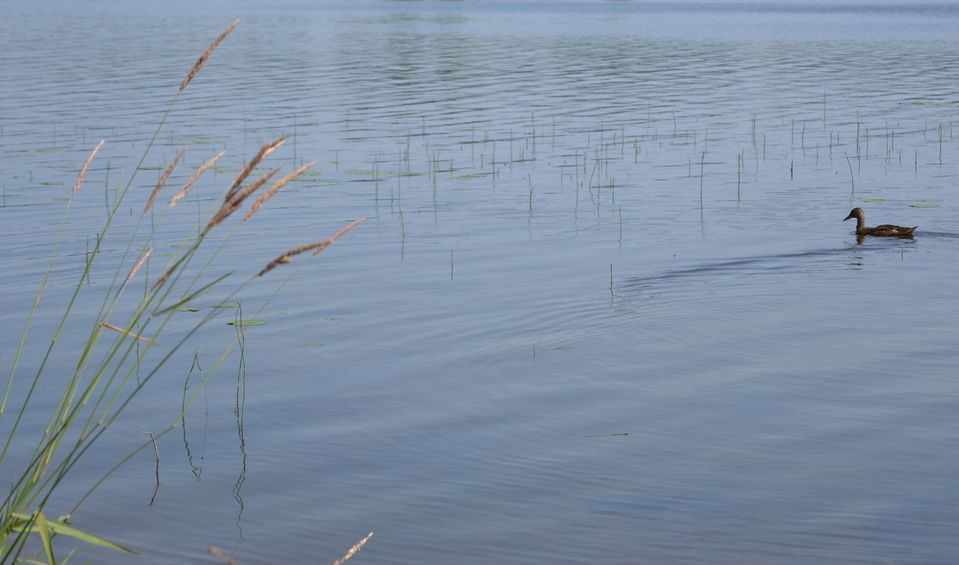 Рядом с островом Кижи обнаружили тело пропавшего мужчины