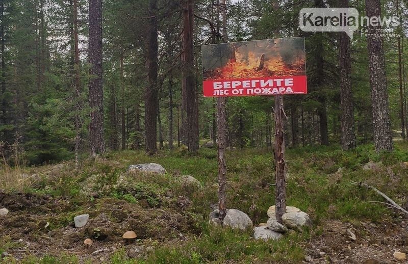 Жителям Карелии напомнили о запрете на разведение костров