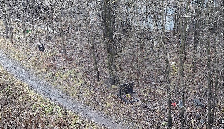 В мэрии Петрозаводска разъяснили горожанам, что делать с погибшими домашними животными