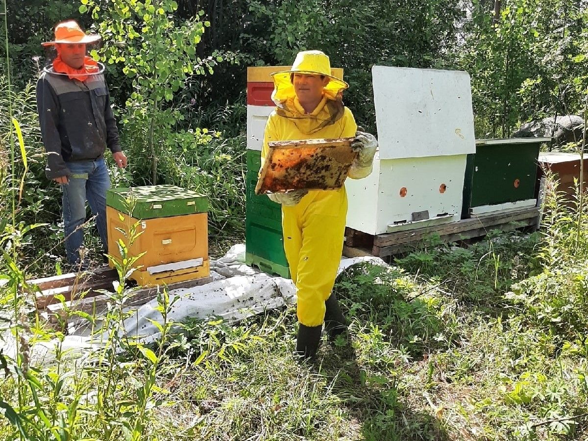 В психоневрологическом интернате «Черемушки» в качестве эксперимента разводят пчел