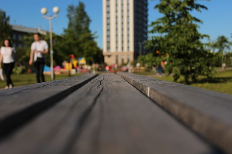Скамейки красят, траву косят: в каких парках Петрозаводска идут летние работы по благоустройству