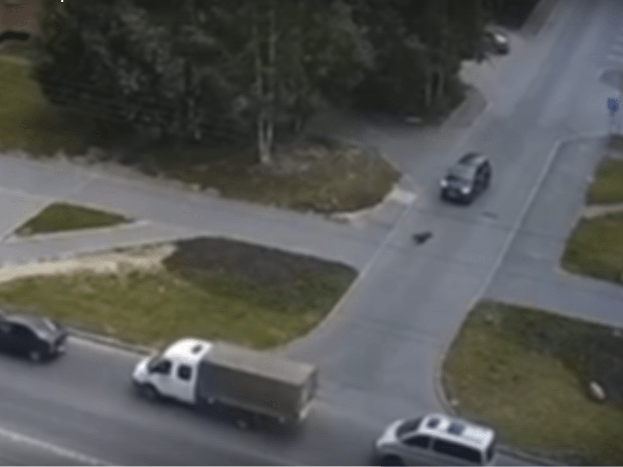 В Петрозаводске водитель не помог пешеходу, упавшему перед его машиной