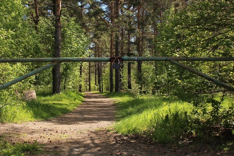 В Карелии вводится режим ограниченного пребывания в лесах