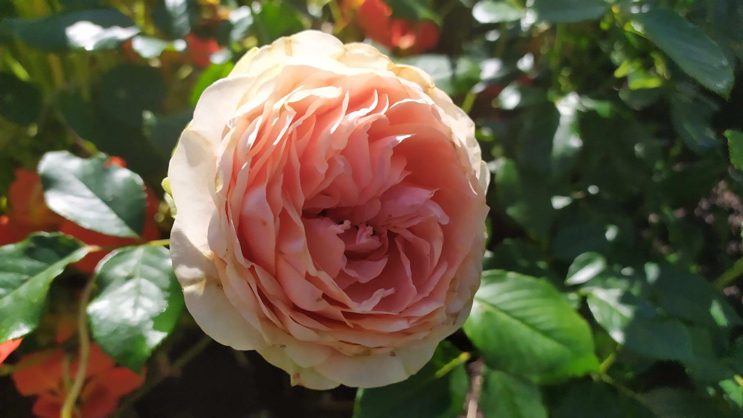 Температура воздуха продолжит радовать любителей жары. Прогноз погоды на 18 августа