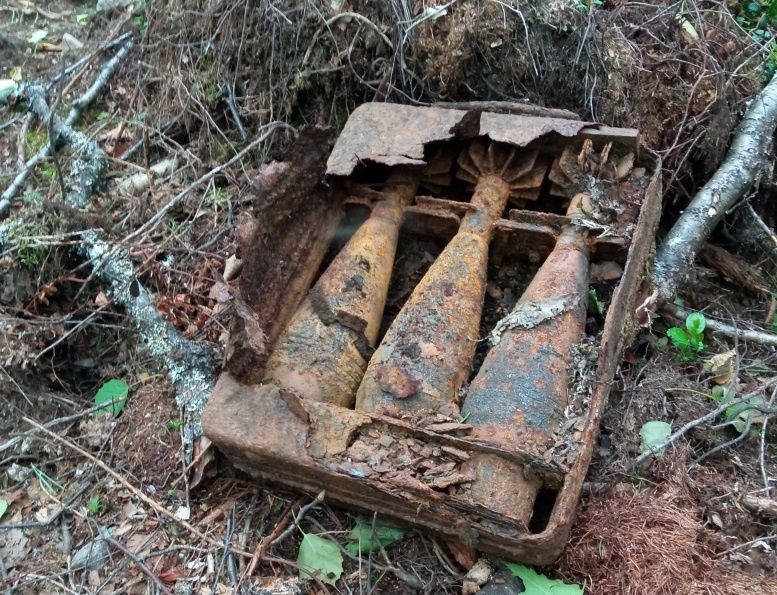 Грибник обнаружил в лесу Лоухского района ящик с немецкими минами