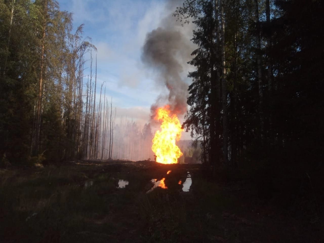 После прорыва газопровода в Карелии образовался 15-метровый столб пламени