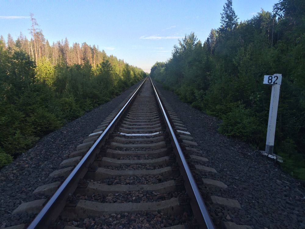 В Сортавальской ЦРБ врачи боролись за жизнь 11-летнего мальчика, попавшего под поезд