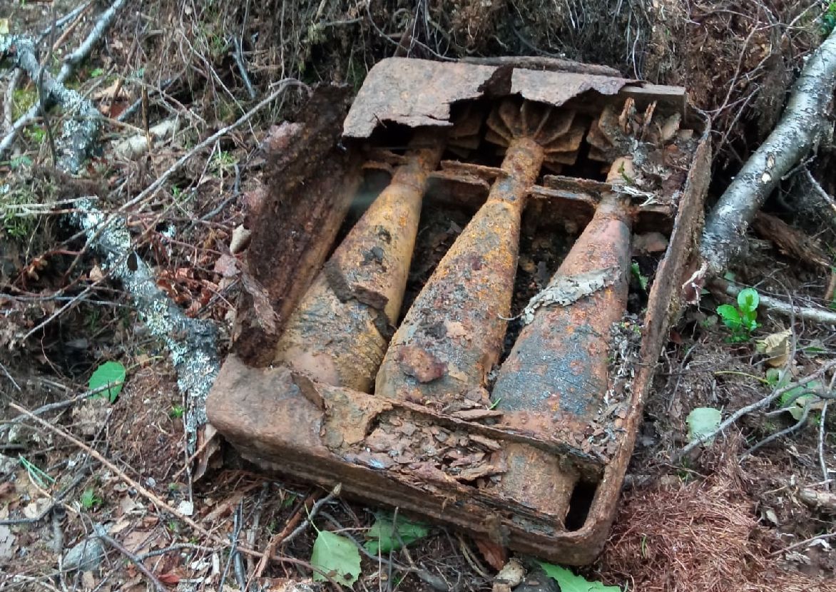 Немецкие минометные снаряды времен войны нашли в Лоухском районе