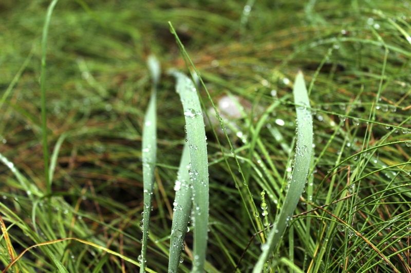 Местами кратковременные дожди и +21°С. Прогноз погоды на 7 августа