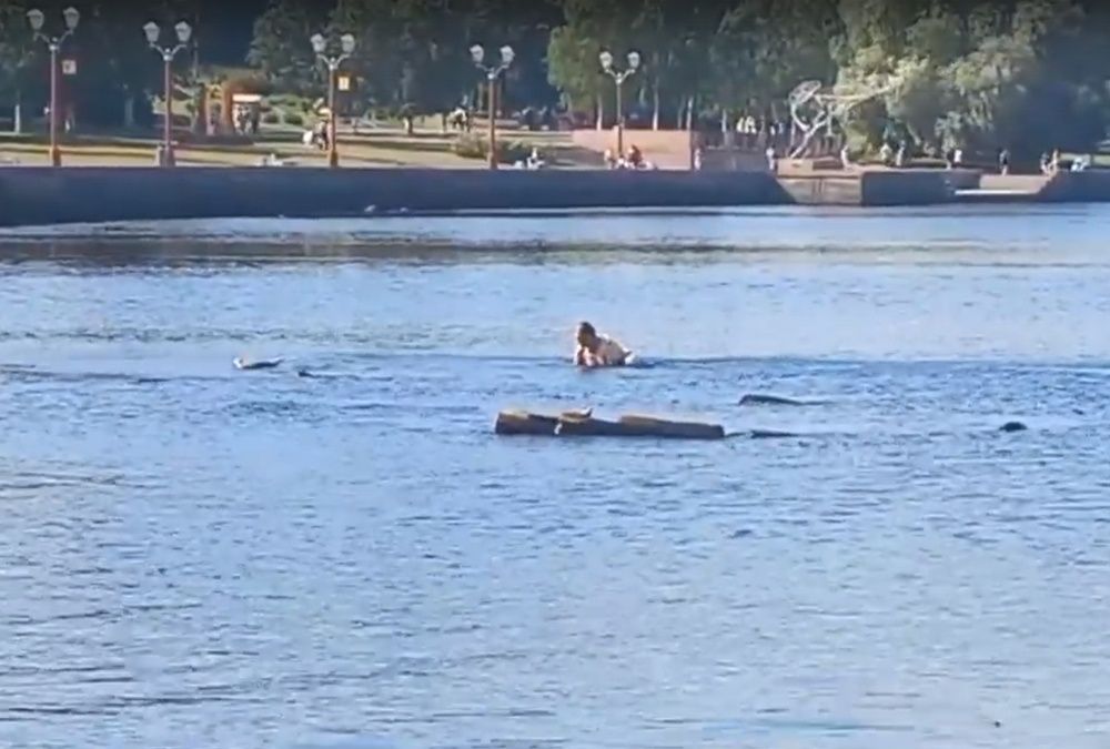 В Петрозаводске мужчина нырнул в озеро и спас чайку