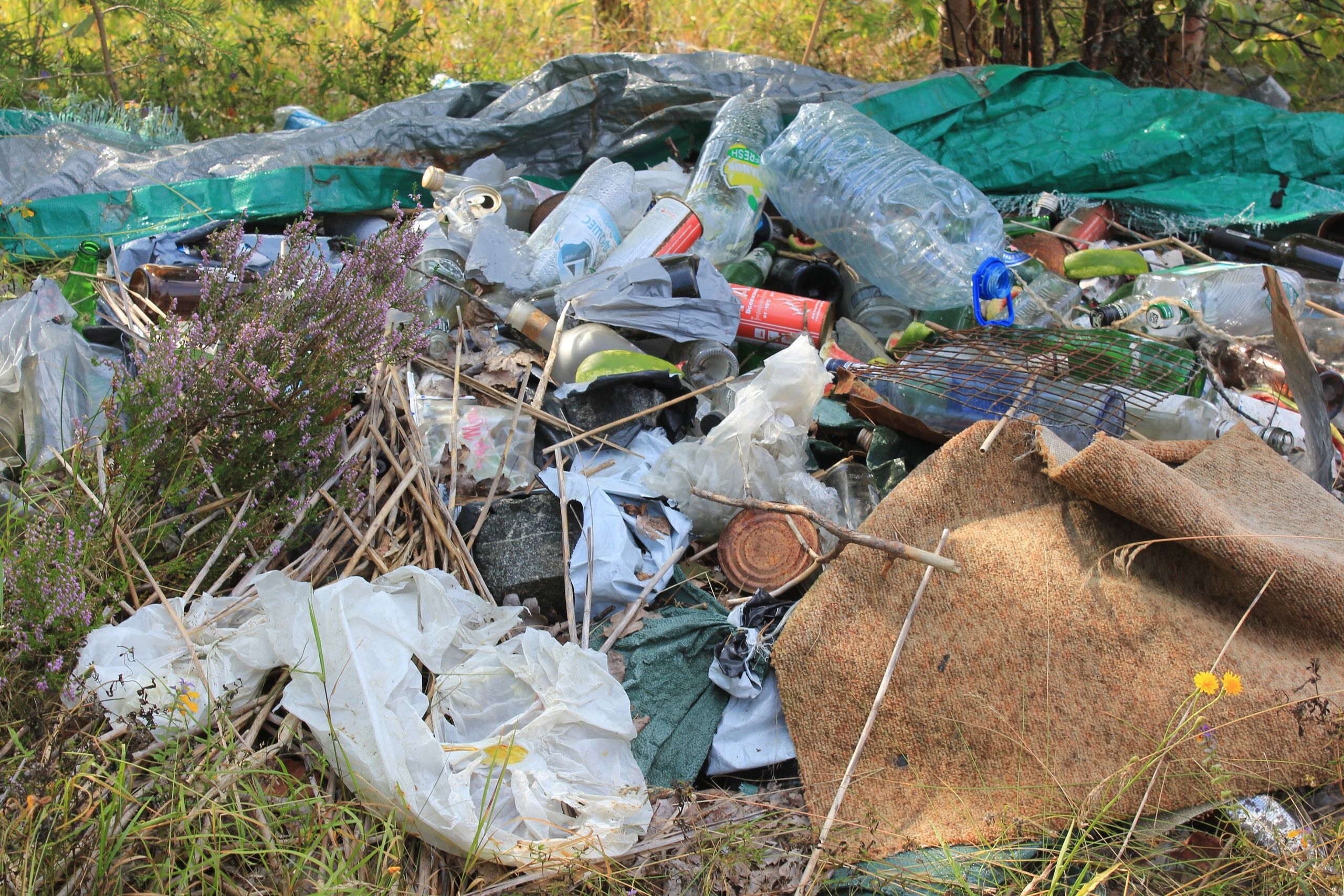В «Ладожских шхерах» только с двух островов собрали более двадцати 70-литровых мешков мусора