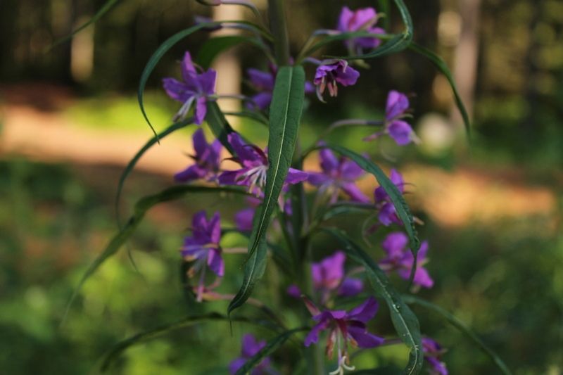 Жара возвращается: прогноз на 15 августа