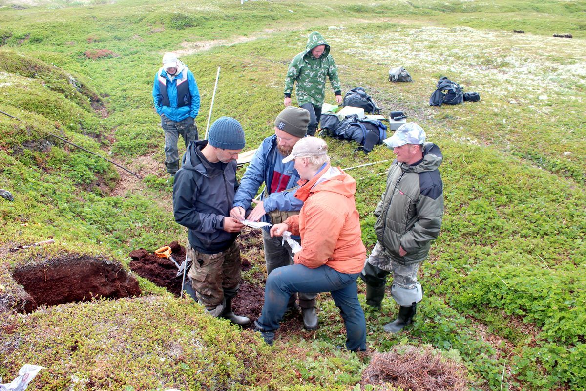 Карельские ученые исследуют почвы при помощи георадиолокации
