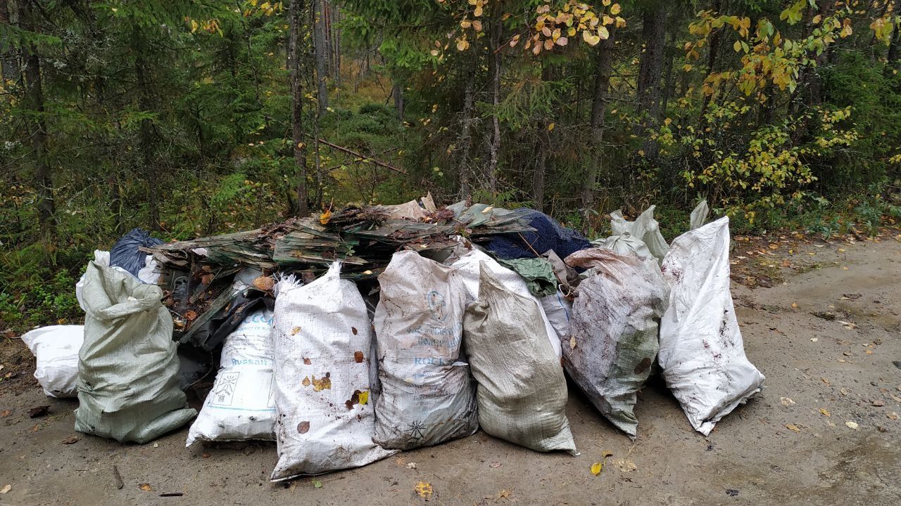 8 кг пластика и больше килограмма алюминия собрали активисты вблизи Шапшезеро