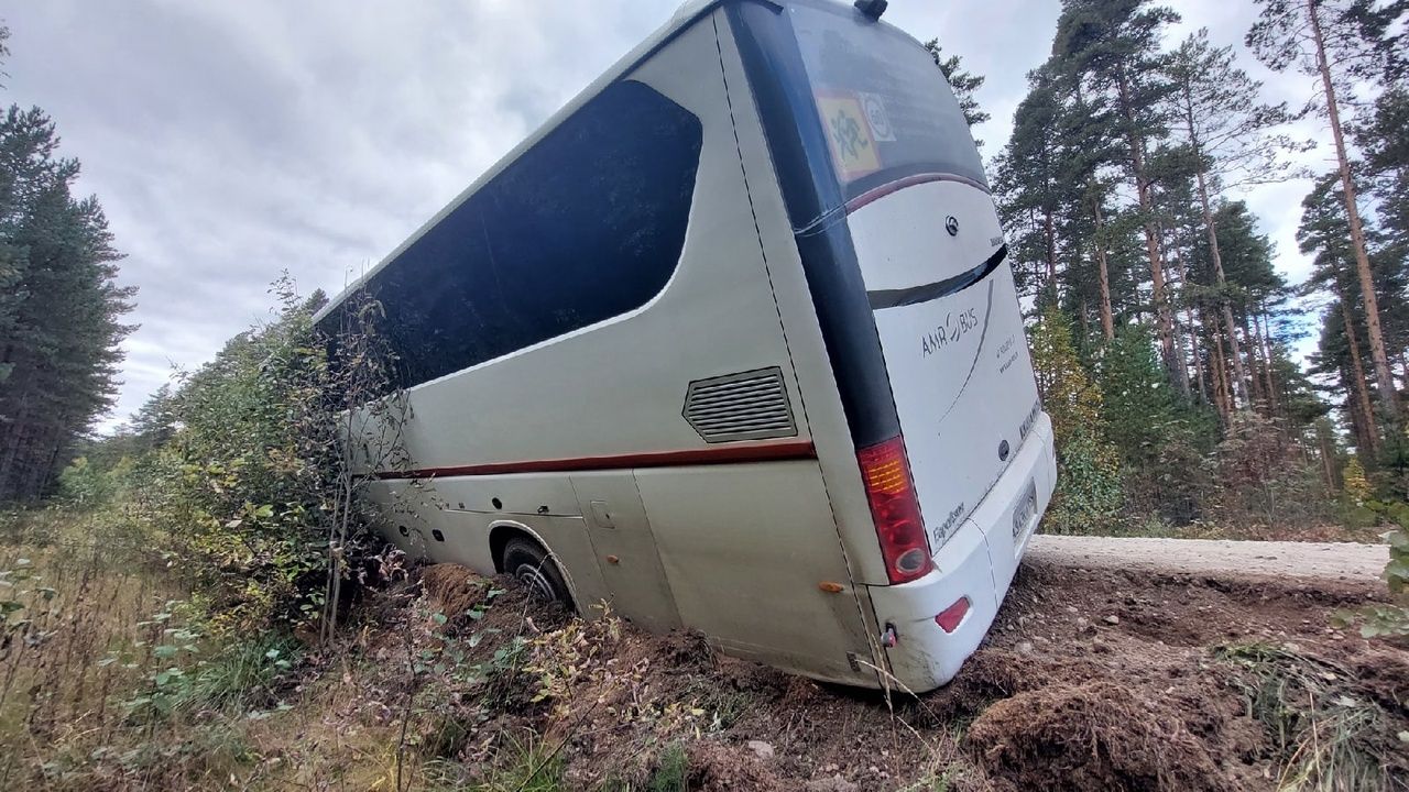Автобус с туристами съехал в кювет в Карелии